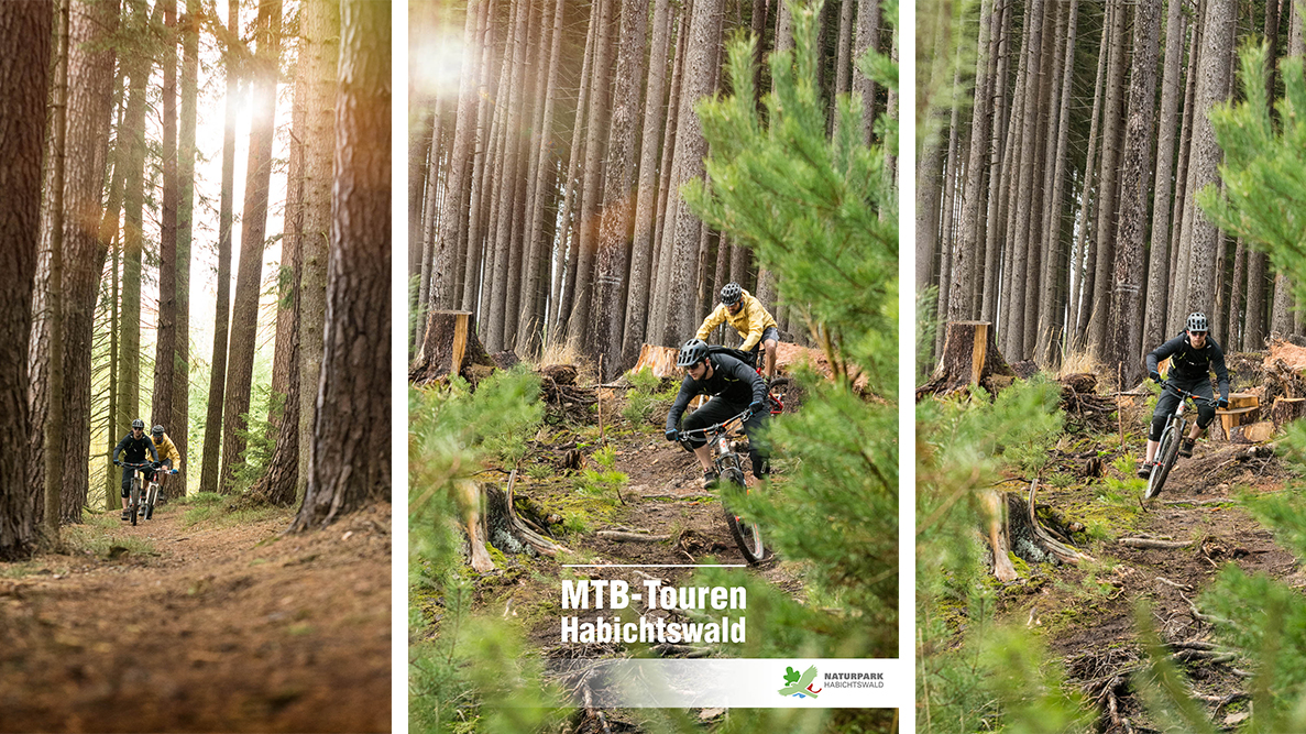 MTB Tour zur Weidelsburg Tourfoto Rauszeit-Tour Naturpark Habichtswald Pro Cycling Breuna